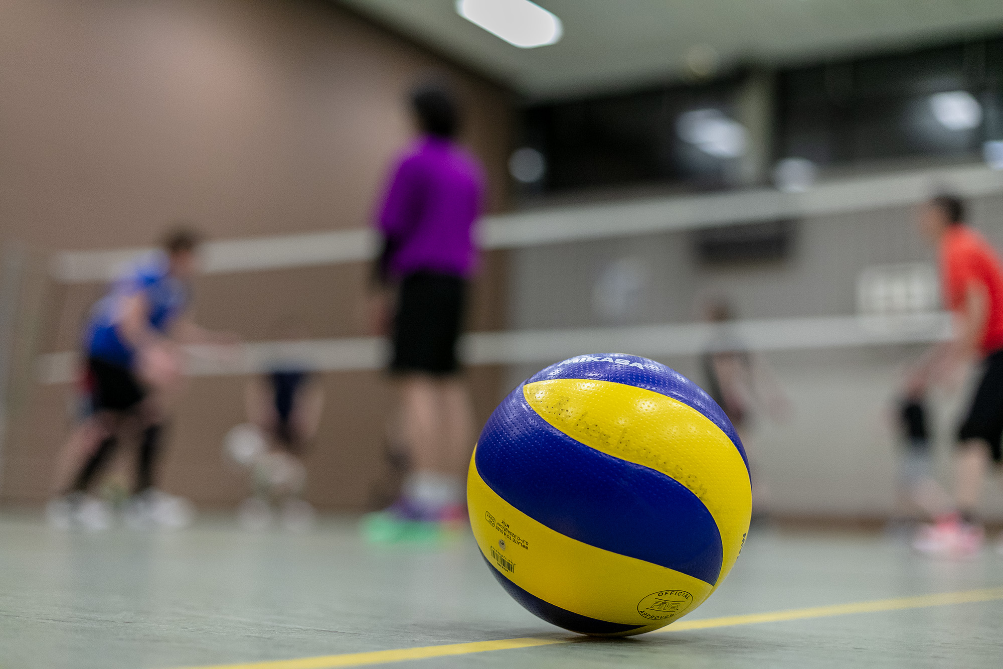 Training Volleyball mixed